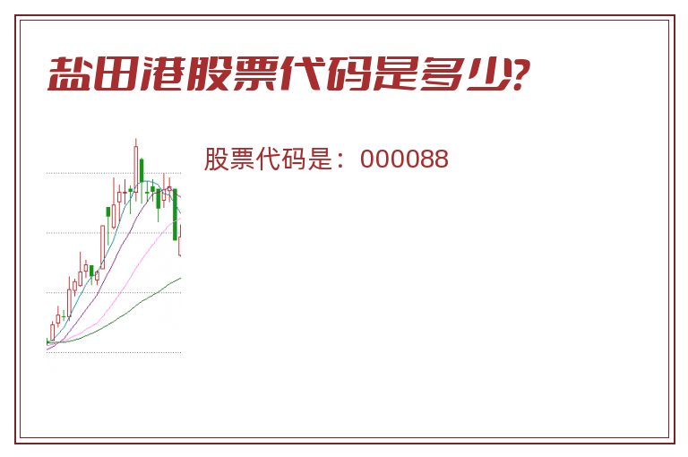 盐田港股票代码是多少？
