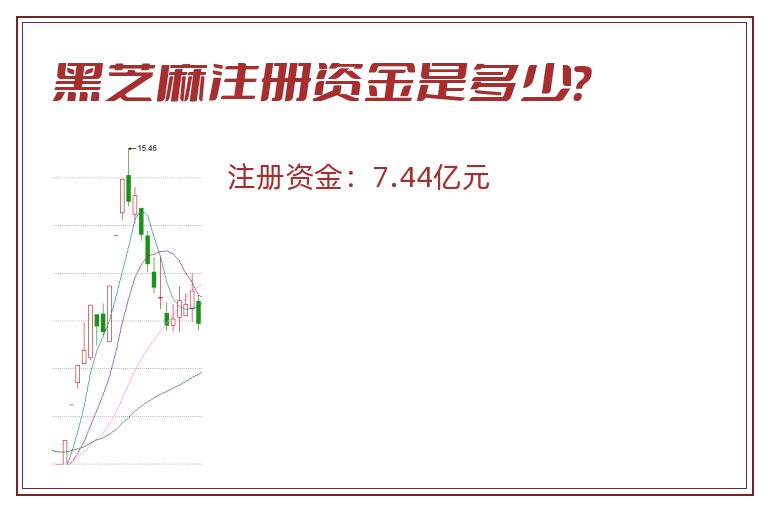 黑芝麻注册资金是多少？