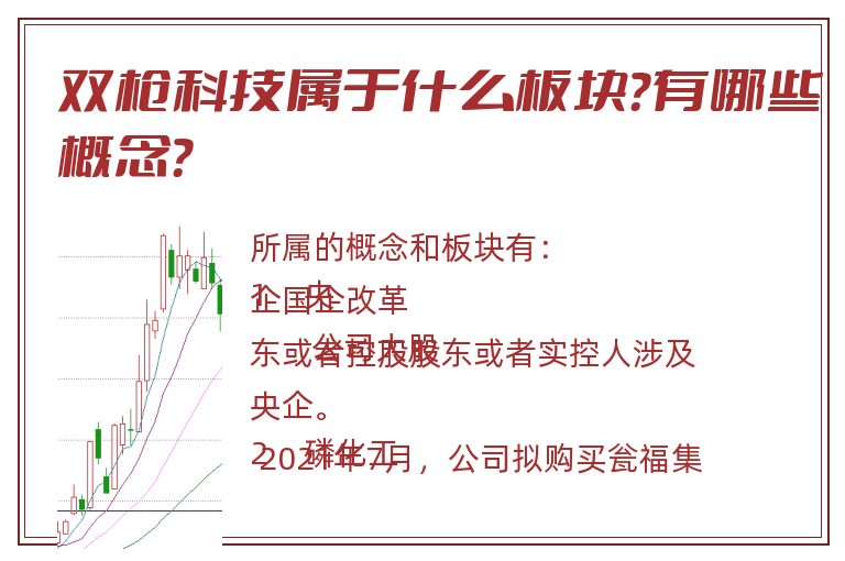 双枪科技属于什么板块？有哪些概念？