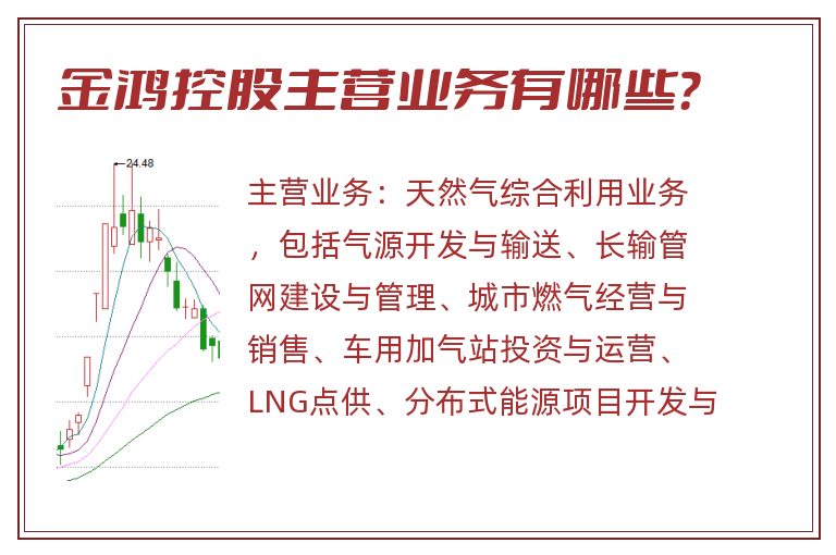 金鸿控股主营业务有哪些？