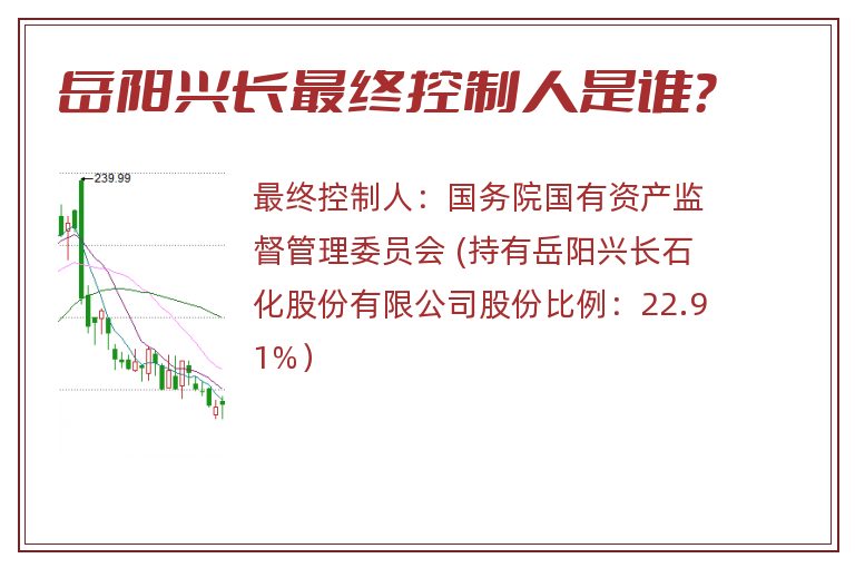 岳阳兴长最终控制人是谁？
