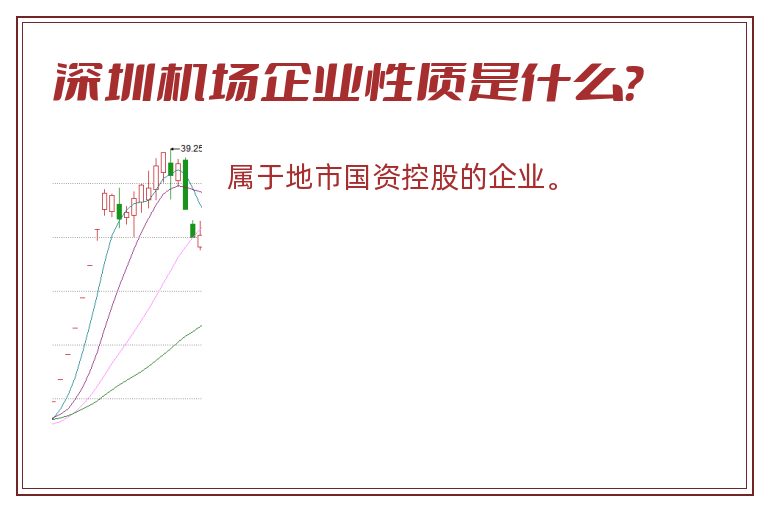 深圳机场企业性质是什么？