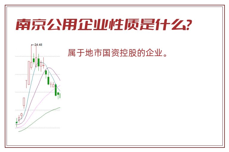 南京公用企业性质是什么？