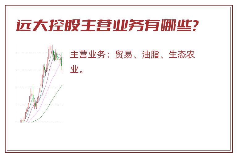 远大控股主营业务有哪些？