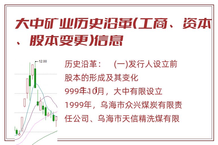 大中矿业历史沿革（工商、资本、股本变更）信息