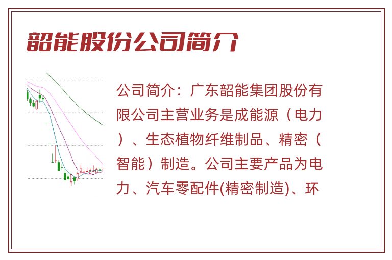 韶能股份公司简介