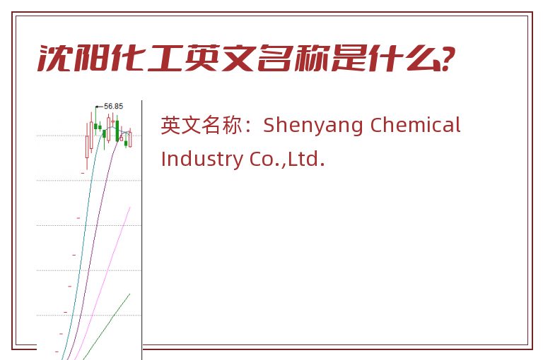 沈阳化工英文名称是什么？