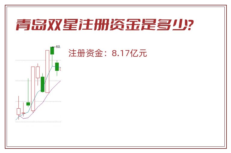 青岛双星注册资金是多少？