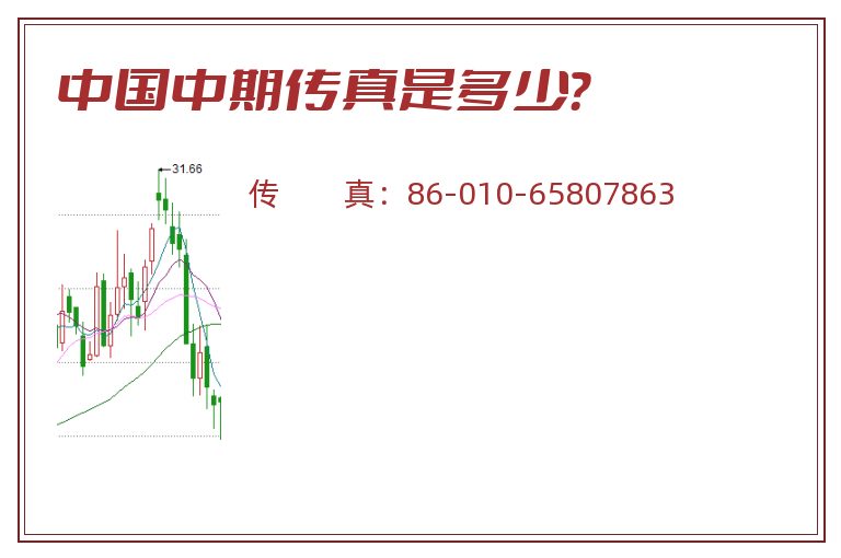 中国中期传真是多少？