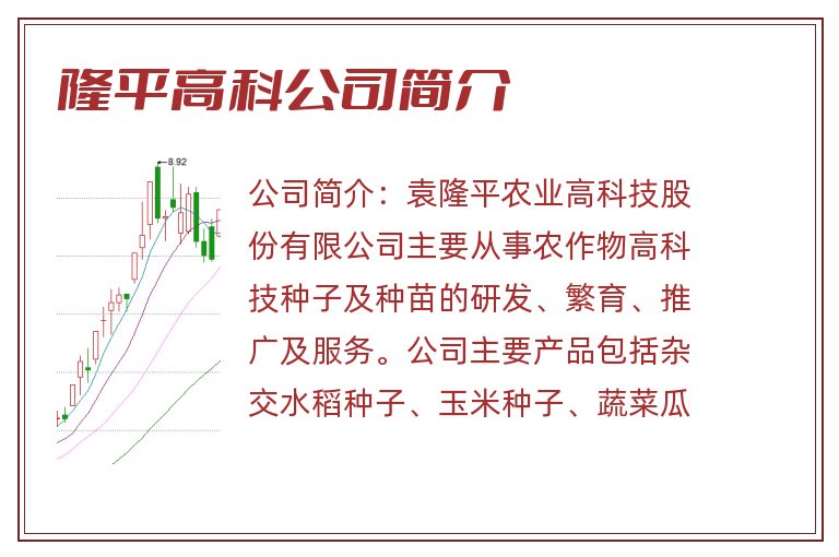 隆平高科公司简介