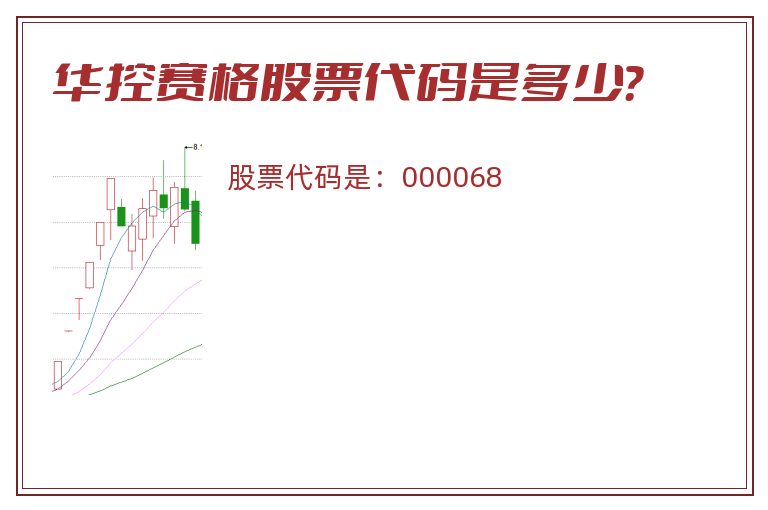 华控赛格股票代码是多少？