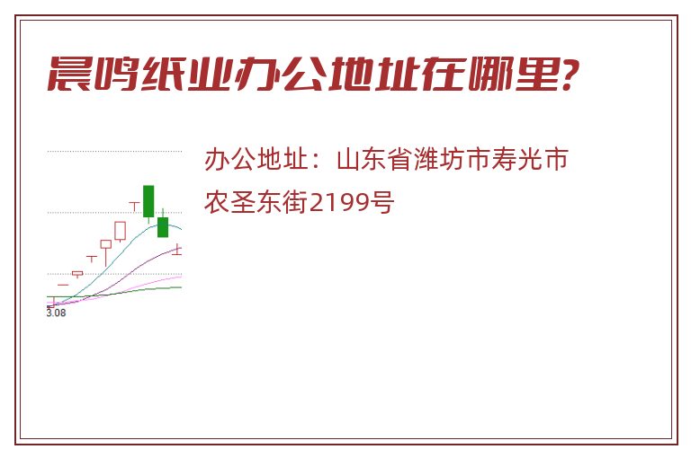 晨鸣纸业办公地址在哪里？