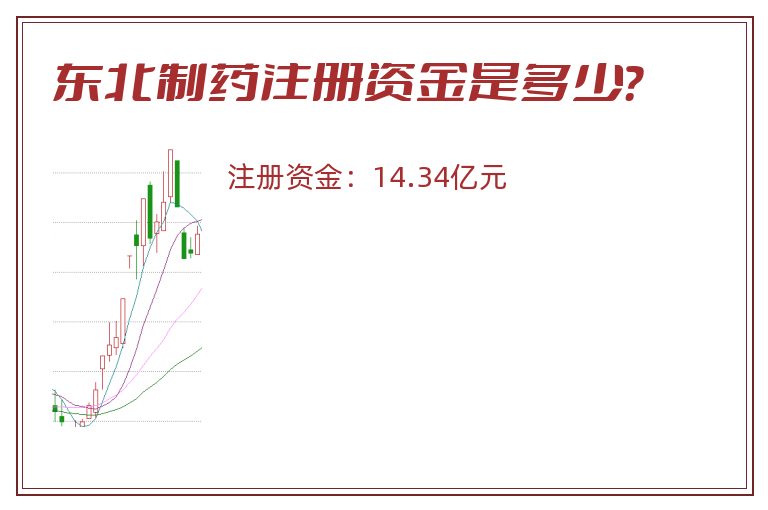 东北制药注册资金是多少？
