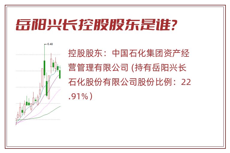 岳阳兴长控股股东是谁？