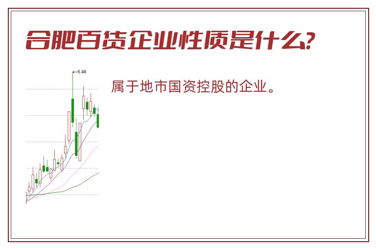 合肥百货企业性质是什么？