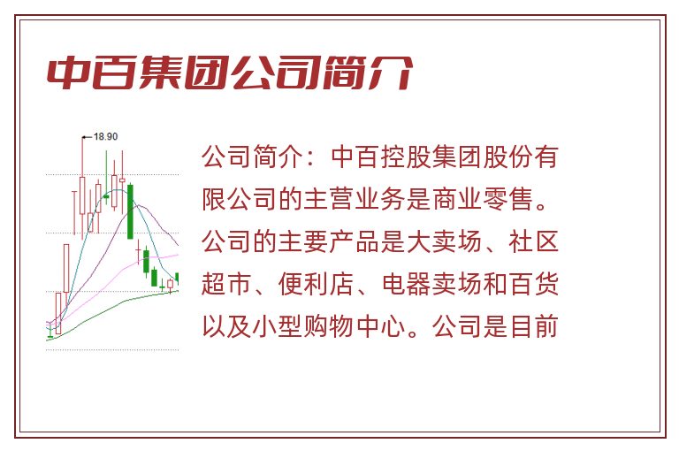 中百集团公司简介