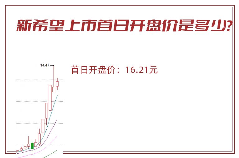 新希望上市首日开盘价是多少？