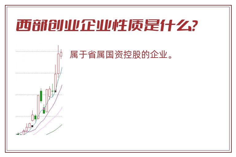 西部创业企业性质是什么？
