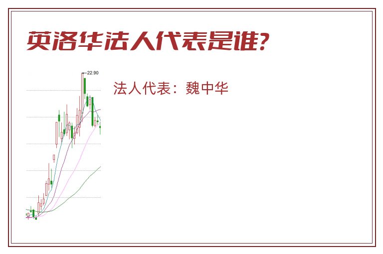 英洛华法人代表是谁?.jpg 英洛华.jpg