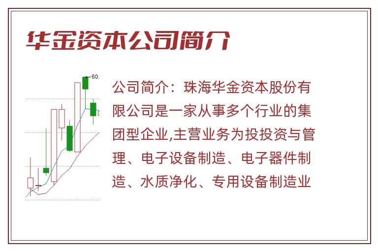华金资本公司简介