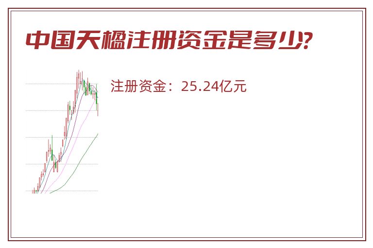 中国天楹注册资金是多少？