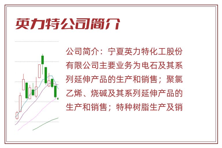 英力特公司简介