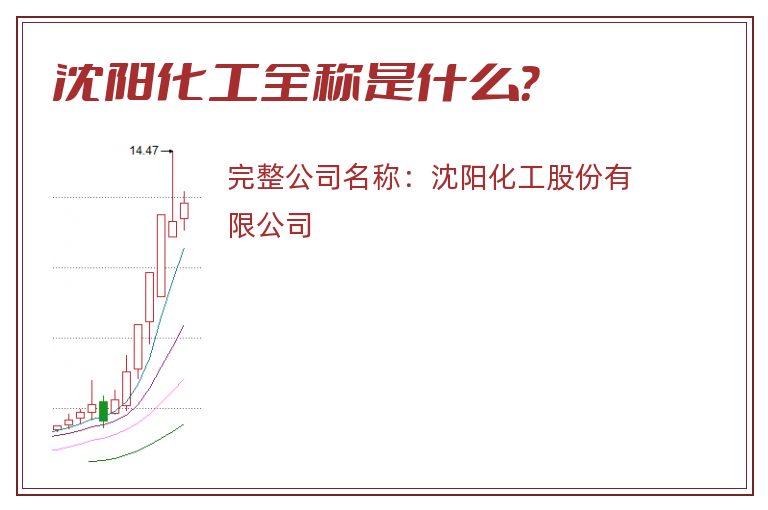沈阳化工全称是什么？