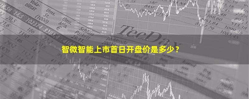 智微智能.jpg