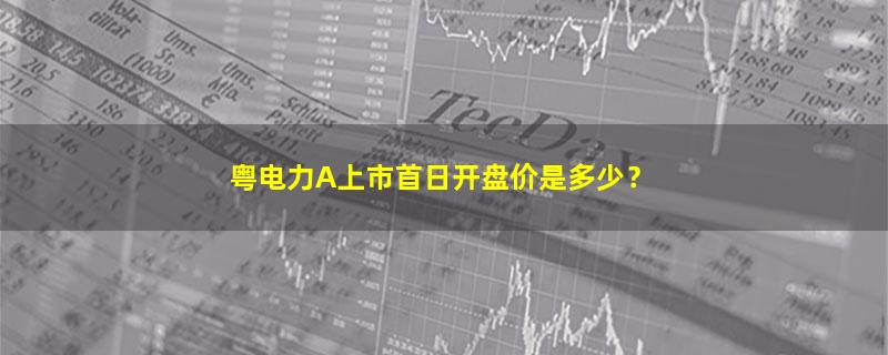 粤电力A.jpg